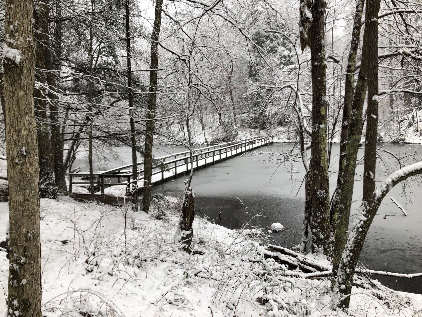 Snow day 16.JPG